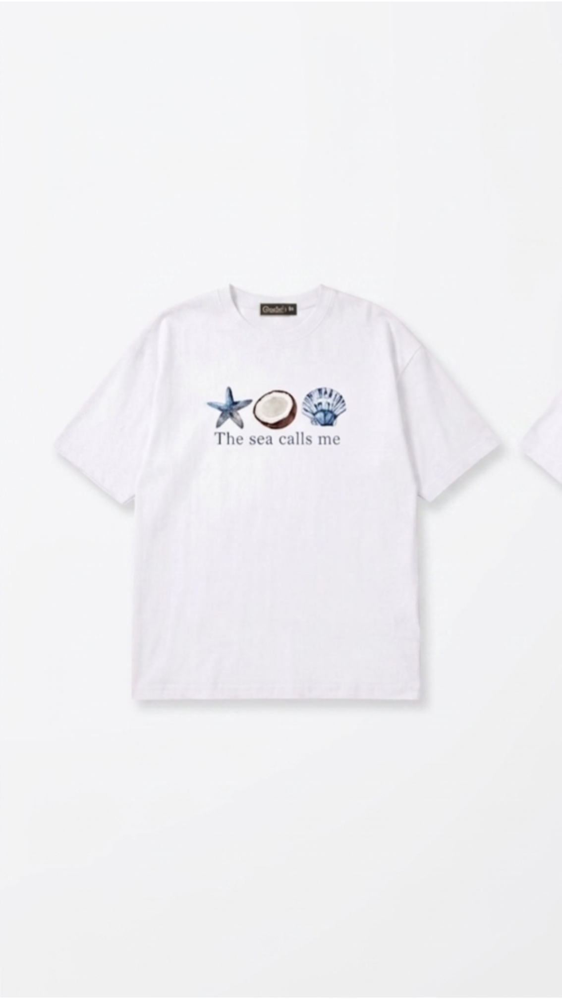 Sea Turtles box fit t-shirt